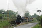Parní vlak přijíždí do stanice Třemešná ve Slezsku