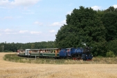 Výletní parní vlak Slezských zemských drah stoupá v srpnovém odpoledni do Slezských Rudoltic, 25.8.2013