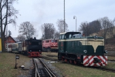 Ranní posun v Třemešné nabídl zajímavé setkání.  Parní Rešica se zde potkala s motorovým Faurem TU38.001 a TUčkem 705 917 na transportním voze. Díky odvozu lokomotivy 705 917 do Bohumína se tato trojice s největší pravděpodobností setkala naposledy.